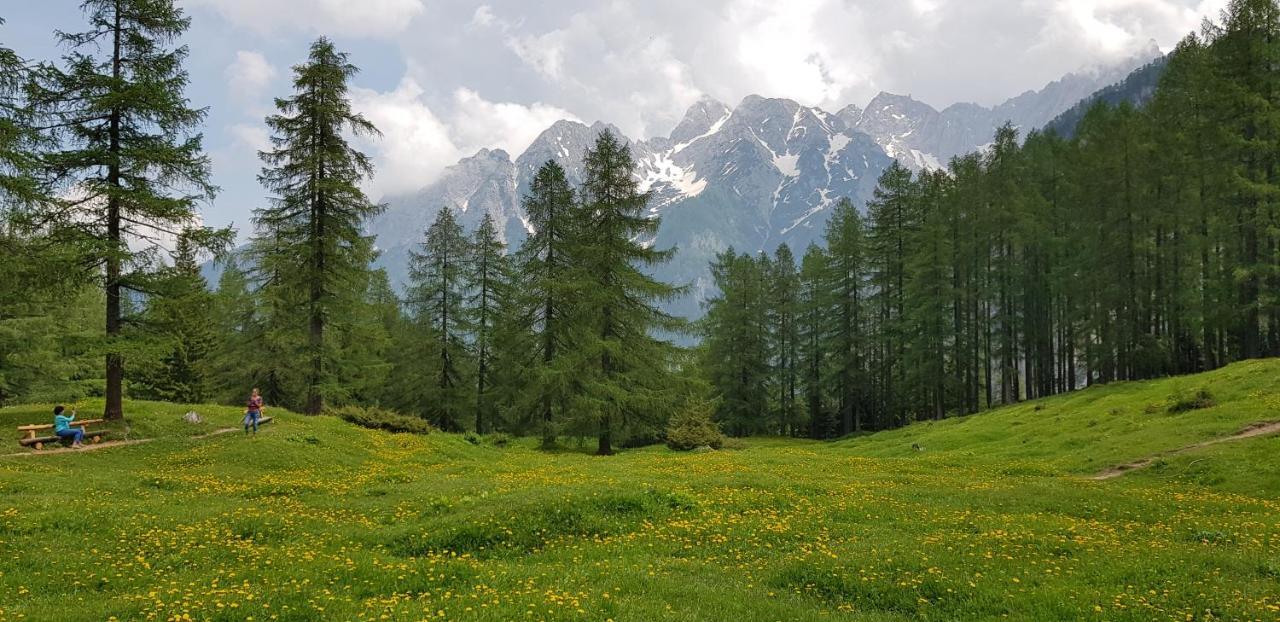 The Oldmillhouse Villa Mojstrana Ngoại thất bức ảnh